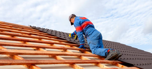 Best Skylight Installation and Repair  in Lake Of The Woods, IL
